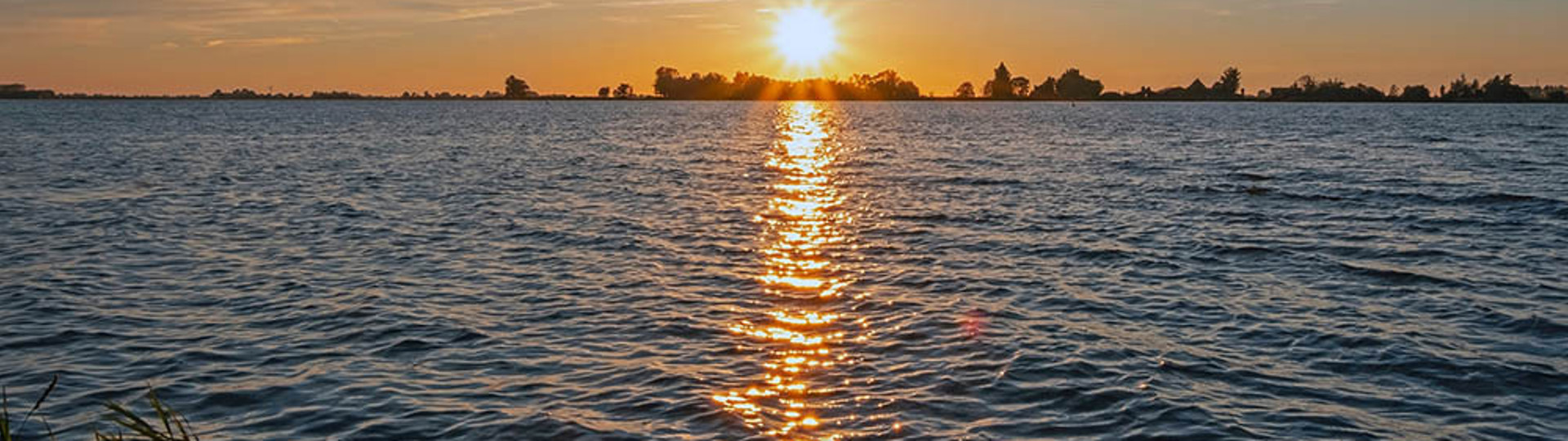 716 Shutterstock 2169160735